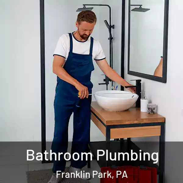  Bathroom Plumbing Franklin Park, PA