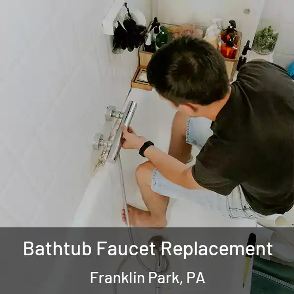  Bathtub Faucet Replacement Franklin Park, PA