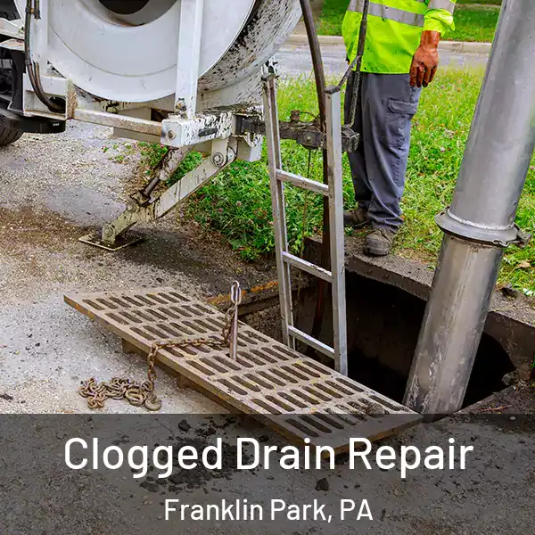  Clogged Drain Repair Franklin Park, PA