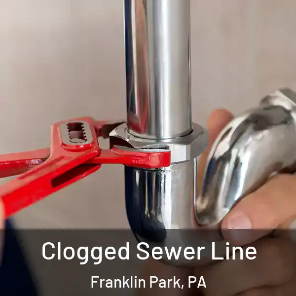  Clogged Sewer Line Franklin Park, PA