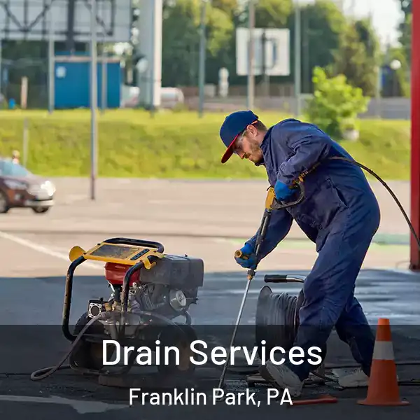  Drain Services Franklin Park, PA