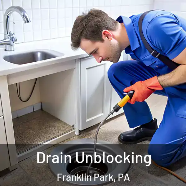  Drain Unblocking Franklin Park, PA