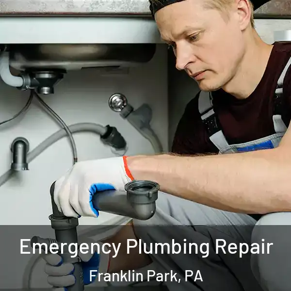  Emergency Plumbing Repair Franklin Park, PA