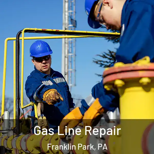 Gas Line Repair Franklin Park, PA