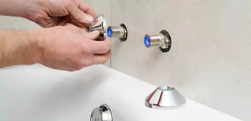 Bathtub Faucet Diverter Replacement in Franklin Park