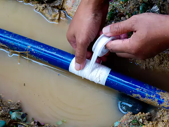  Why Choose Robert Wagner Plumbing for Leak Detection in Franklin Park, PA?]
