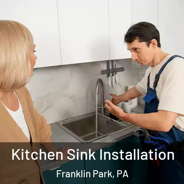  Kitchen Sink Installation Franklin Park, PA
