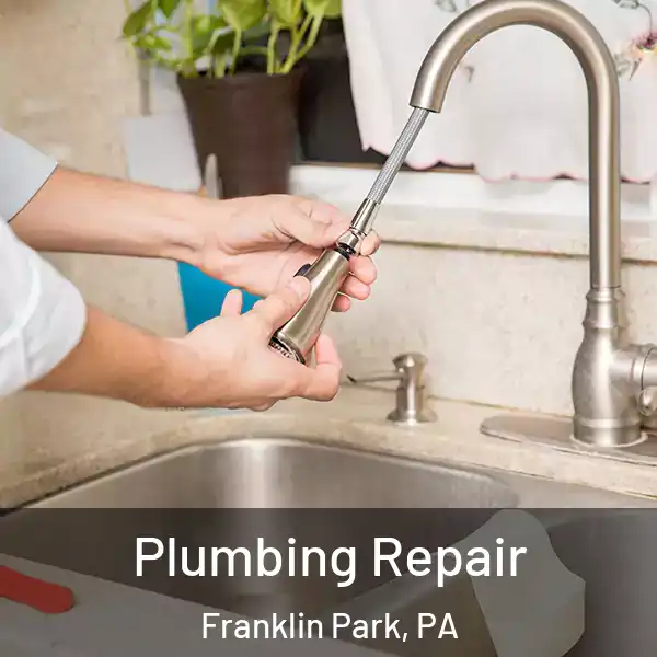  Plumbing Repair Franklin Park, PA
