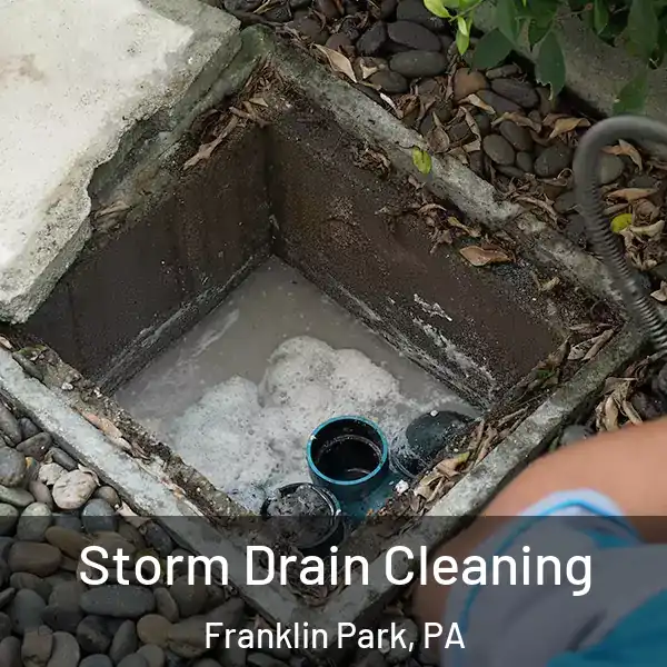  Storm Drain Cleaning Franklin Park, PA