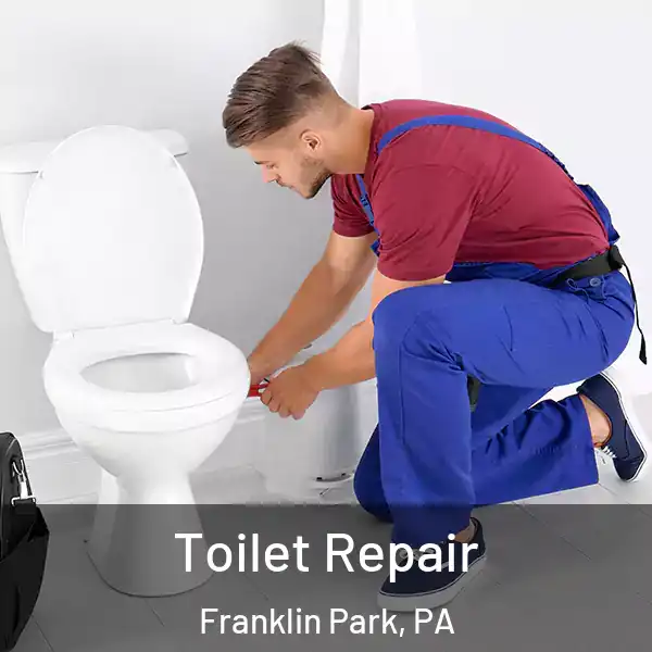  Toilet Repair Franklin Park, PA