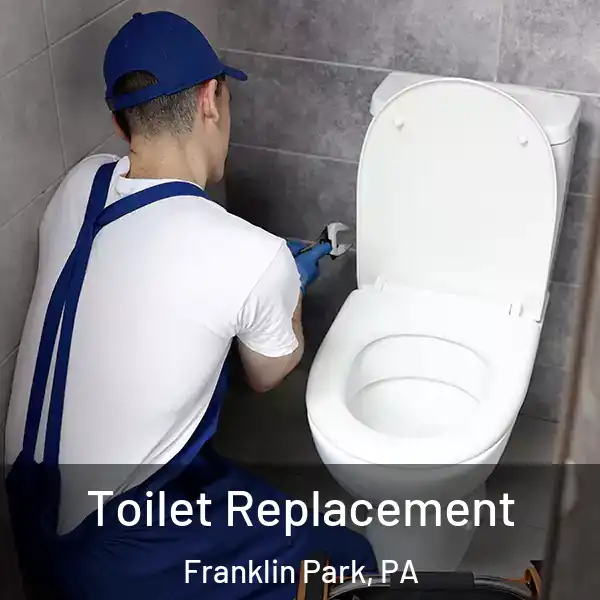  Toilet Replacement Franklin Park, PA