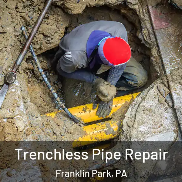  Trenchless Pipe Repair Franklin Park, PA