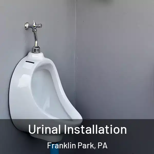  Urinal Installation Franklin Park, PA