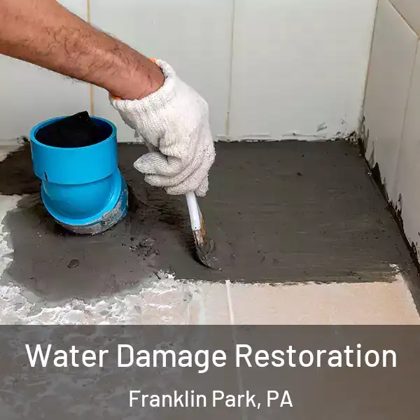 Water Damage Restoration Franklin Park, PA