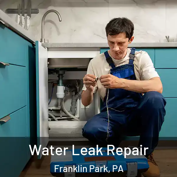  Water Leak Repair Franklin Park, PA